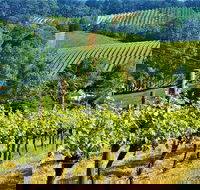 Adelaide Hills Private Day Tour - Accommodation Fremantle