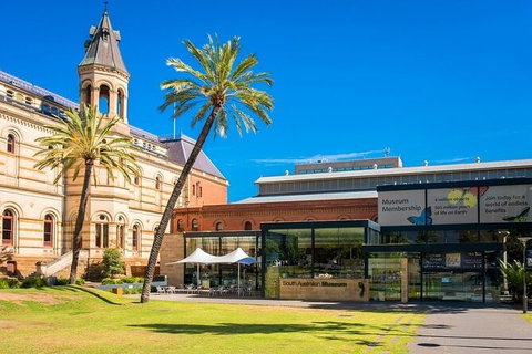 Departure Private Transfers: Adelaide To Adelaide Airport ADL In Luxury Van - Accommodation Fremantle 5