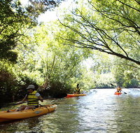Paddle with the Platypus Twilight Kayak Adventure - Accommodation Fremantle