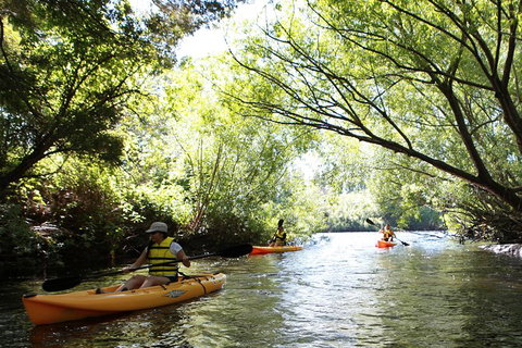 Paddle With The Platypus Twilight Kayak Adventure - Accommodation Fremantle 0