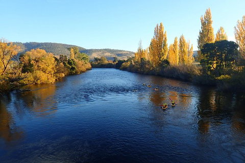 Paddle With The Platypus Twilight Kayak Adventure - Accommodation Fremantle 3