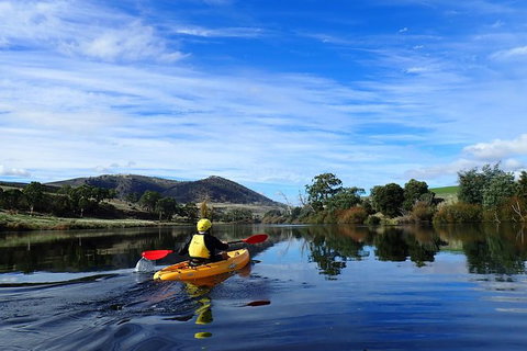 Paddle With The Platypus Twilight Kayak Adventure - Accommodation Fremantle 5