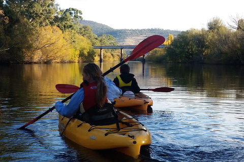 Paddle With The Platypus Twilight Kayak Adventure - Accommodation Fremantle 1