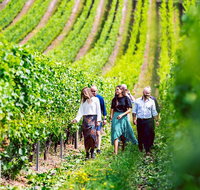 Tasmanian Wine Tour - Accommodation Fremantle