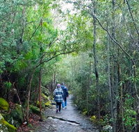 kunanyi/Mt Wellington Explorer Bus - One Way Tour - Accommodation Fremantle