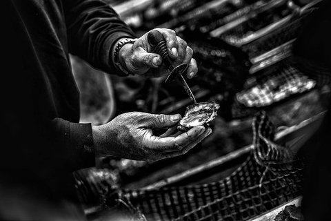 Full Day Tour Hobart: East Coast Classic Wine, Beach, Oysters, Seafood & Berries - Accommodation Fremantle 17