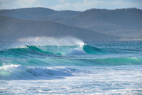 Full Day Tour Hobart: East Coast Classic Wine, Beach, Oysters, Seafood & Berries - Accommodation Fremantle 0