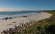 Full Day Tour Hobart: East Coast Classic Wine, Beach, Oysters, Seafood & Berries - thumb 4