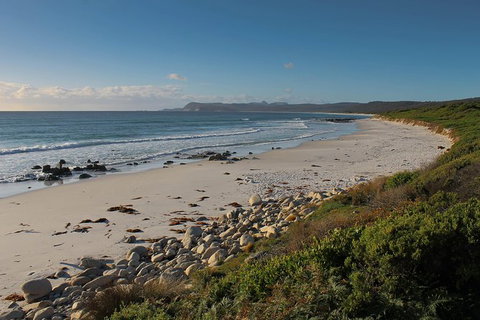 Full Day Tour Hobart: East Coast Classic Wine, Beach, Oysters, Seafood & Berries - Accommodation Fremantle 4