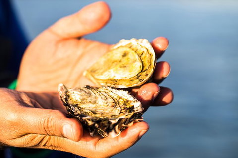 Full Day Tour Hobart: East Coast Classic Wine, Beach, Oysters, Seafood & Berries - Accommodation Fremantle 11
