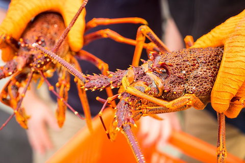 Full Day Tour Hobart: East Coast Classic Wine, Beach, Oysters, Seafood & Berries - Accommodation Fremantle 12