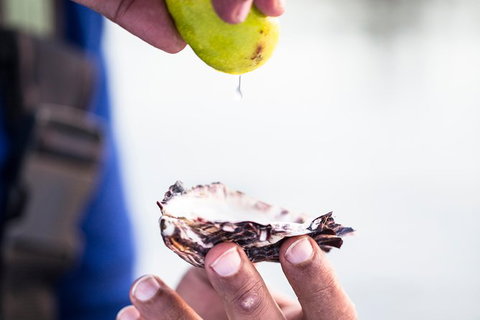 Full Day Tour Hobart: East Coast Classic Wine, Beach, Oysters, Seafood & Berries - Accommodation Fremantle 18