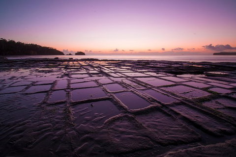 Full Day Tour Hobart: Port Arthur McHenry Gins Bangor Vineyard Wines + Oysters - Accommodation Fremantle 8