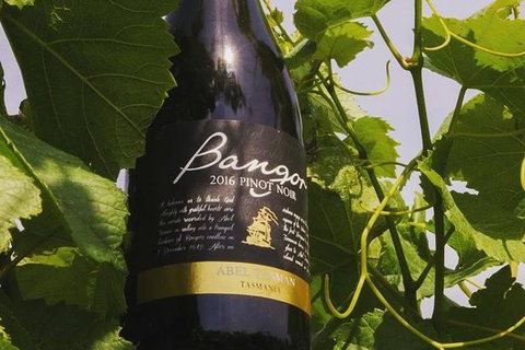 Full Day Tour Hobart: Port Arthur McHenry Gins Bangor Vineyard Wines + Oysters - Accommodation Fremantle 2