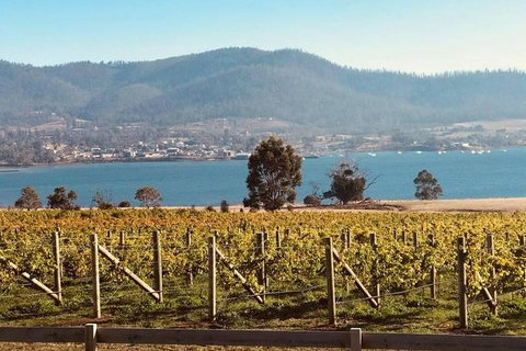 Full Day Tour Hobart: Port Arthur McHenry Gins Bangor Vineyard Wines + Oysters - Accommodation Fremantle 22