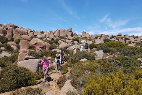 Alpine Loop - Accommodation Fremantle 2