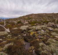 Alpine Loop - Accommodation Fremantle