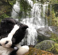 Waterfalls Guided Tour - Accommodation Fremantle