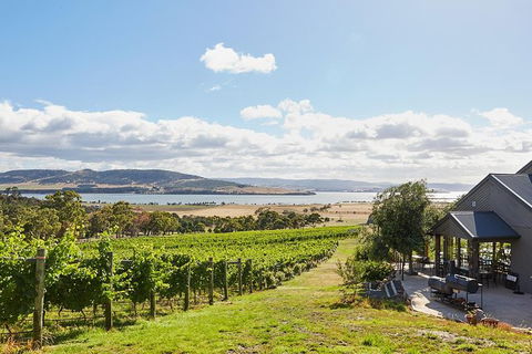 Launceston Wine & Sightseeing Tours - Accommodation Fremantle 0