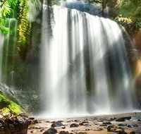 Mount Field Private Charter Service - Accommodation Fremantle
