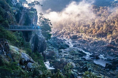 3.5 Hours Walking Tour To Cataract Gorge With Local Guide - Accommodation Fremantle 0