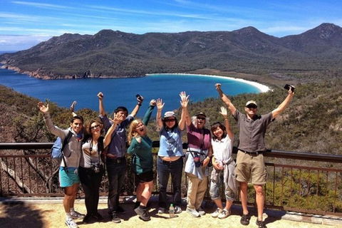 Half-Day Tour To Wineglass Bay From Launceston With Guide - Accommodation Fremantle 5