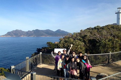 Half-Day Tour To Wineglass Bay From Launceston With Guide - Accommodation Fremantle 3