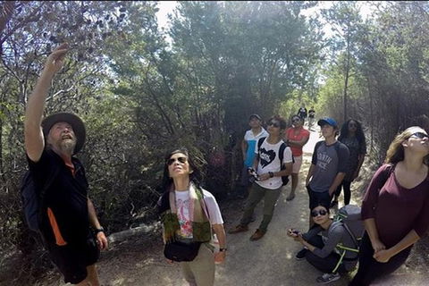 Half-Day Tour To Wineglass Bay From Launceston With Guide - Accommodation Fremantle 1