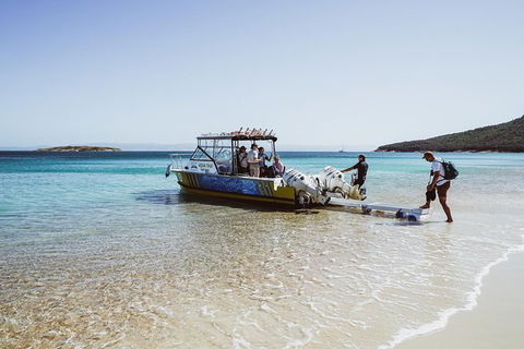 Sea & Explore Wineglass Bay & Freycinet National Park - Cruise & Walk - Accommodation Fremantle 3
