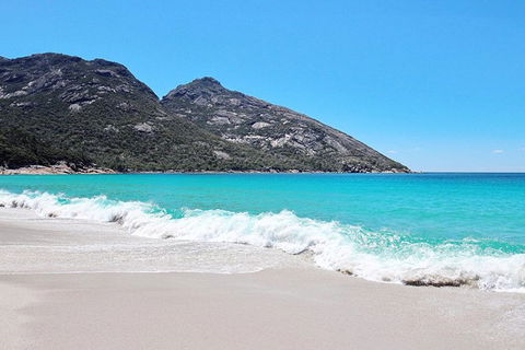 Sea & Explore Wineglass Bay & Freycinet National Park - Cruise & Walk - Accommodation Fremantle 4