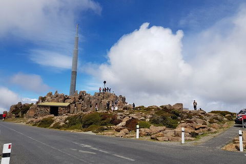 Mt. Wellington Morning Hike + Afternoon Beer & History Walk - Accommodation Fremantle 21