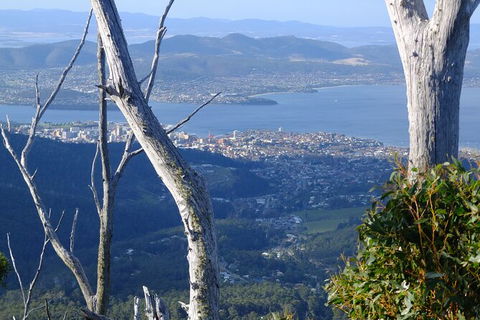 Mt. Wellington Morning Hike + Afternoon Beer & History Walk - Accommodation Fremantle 10