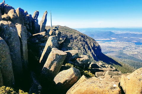 Mt. Wellington Morning Hike + Afternoon Beer & History Walk - Accommodation Fremantle 11