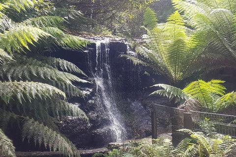 Mt. Wellington Morning Hike + Afternoon Beer & History Walk - Accommodation Fremantle 16