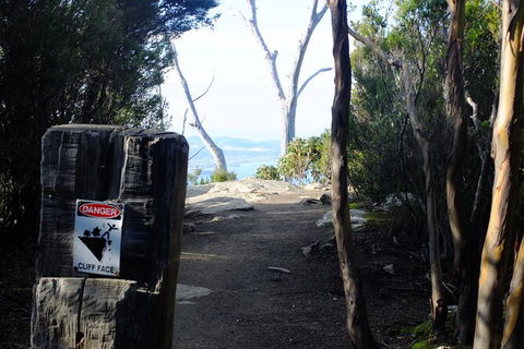 Mt. Wellington Morning Hike + Afternoon Beer & History Walk - Accommodation Fremantle 14