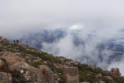Mt. Wellington Morning Hike + Afternoon Beer & History Walk - Accommodation Fremantle 18