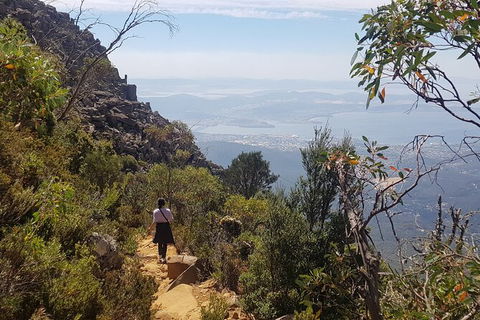 Mt. Wellington Morning Hike + Afternoon Beer & History Walk - Accommodation Fremantle 1