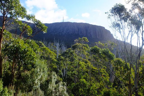 Mt. Wellington Morning Hike + Afternoon Beer & History Walk - Accommodation Fremantle 4