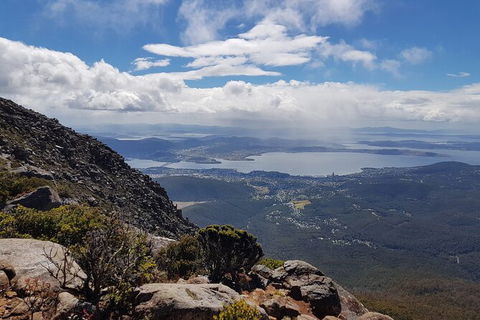 Mt. Wellington Morning Hike + Afternoon Beer & History Walk - Accommodation Fremantle 5