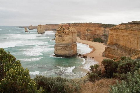 Melbourne Combo: Half-Day Sightseeing Tour And Great Ocean Road Day Trip - Accommodation Fremantle 1