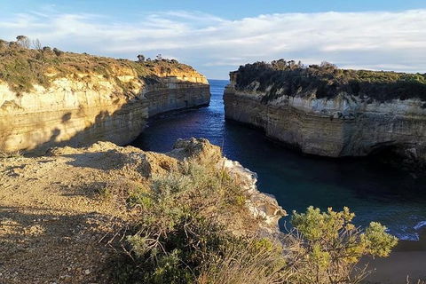 Melbourne Combo: Half-Day Sightseeing Tour And Great Ocean Road Day Trip - Accommodation Fremantle 4