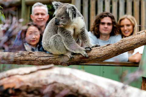 Moonlit Sanctuary Wildlife Conservation Park Daytime General Entry Ticket - Accommodation Fremantle 10