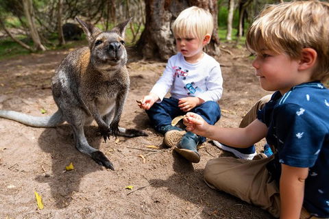 Moonlit Sanctuary Wildlife Conservation Park Daytime General Entry Ticket - Accommodation Fremantle 2