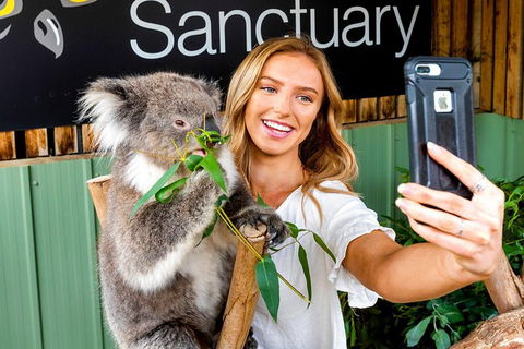 Moonlit Sanctuary Wildlife Conservation Park Daytime General Entry Ticket - Accommodation Fremantle 0