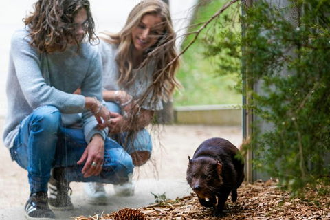 Moonlit Sanctuary Wildlife Conservation Park Daytime General Entry Ticket - Accommodation Fremantle 4