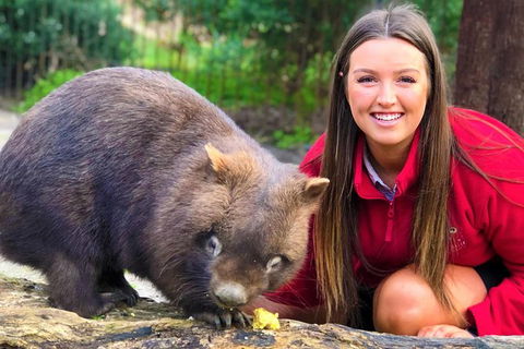 Moonlit Sanctuary Wildlife Conservation Park Daytime General Entry Ticket - Accommodation Fremantle 5