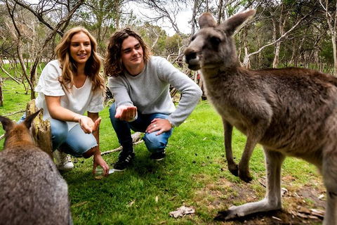 Moonlit Sanctuary Wildlife Conservation Park Daytime General Entry Ticket - Accommodation Fremantle 1