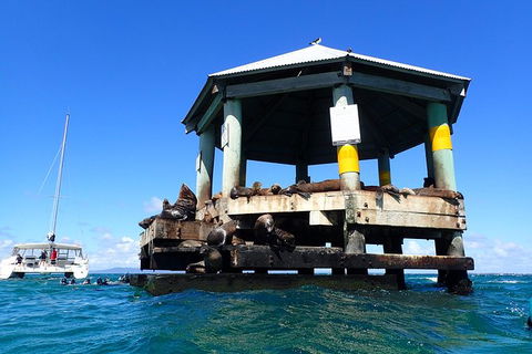 Sailing Cruise With Seals - Accommodation Fremantle 1