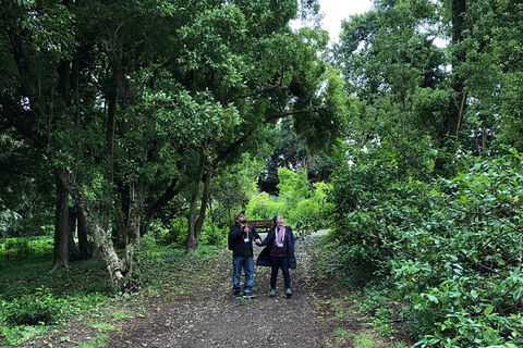 Alices Journeys Guided Walking Tours Of Daylesford - Accommodation Fremantle 5