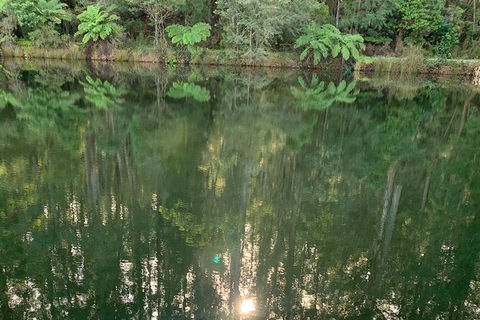 Hiking Tour To Aqueduct And Warburton Valley Lookout - Accommodation Fremantle 2